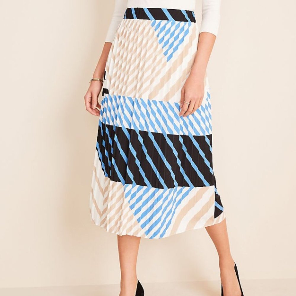 Stripe Pleated Skirt